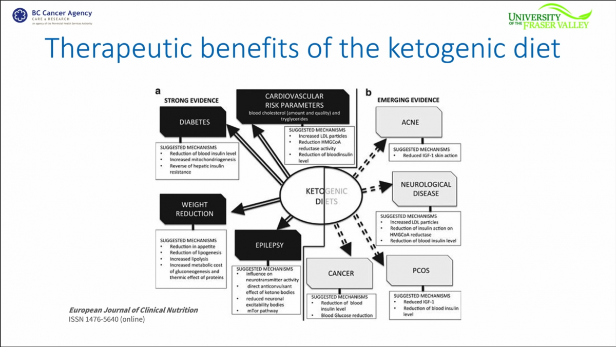 Diseases & Illnesses.png
