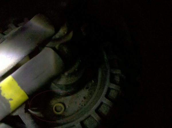 moisture might be on the bottom area.