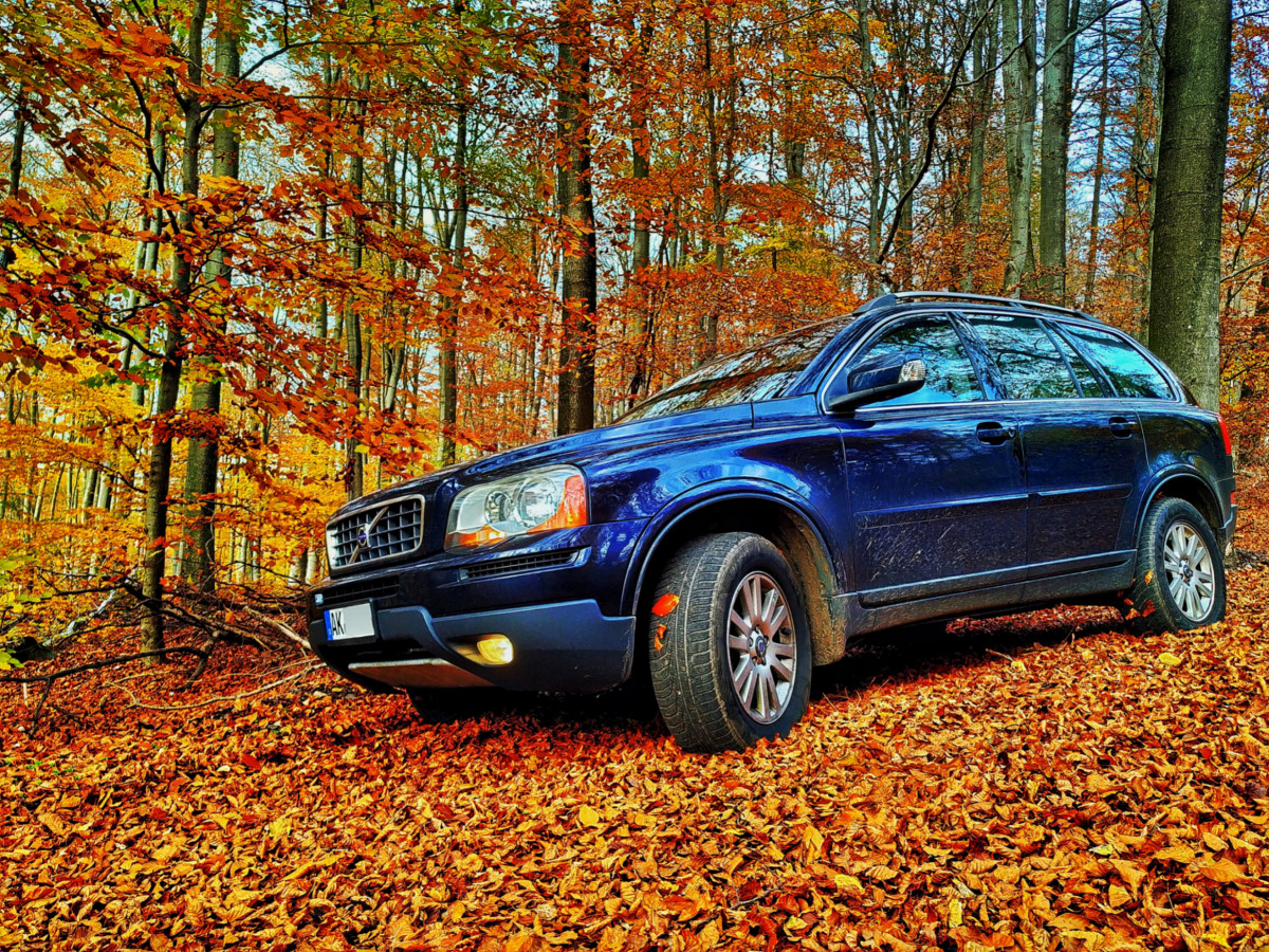 Shortly after I bought it....