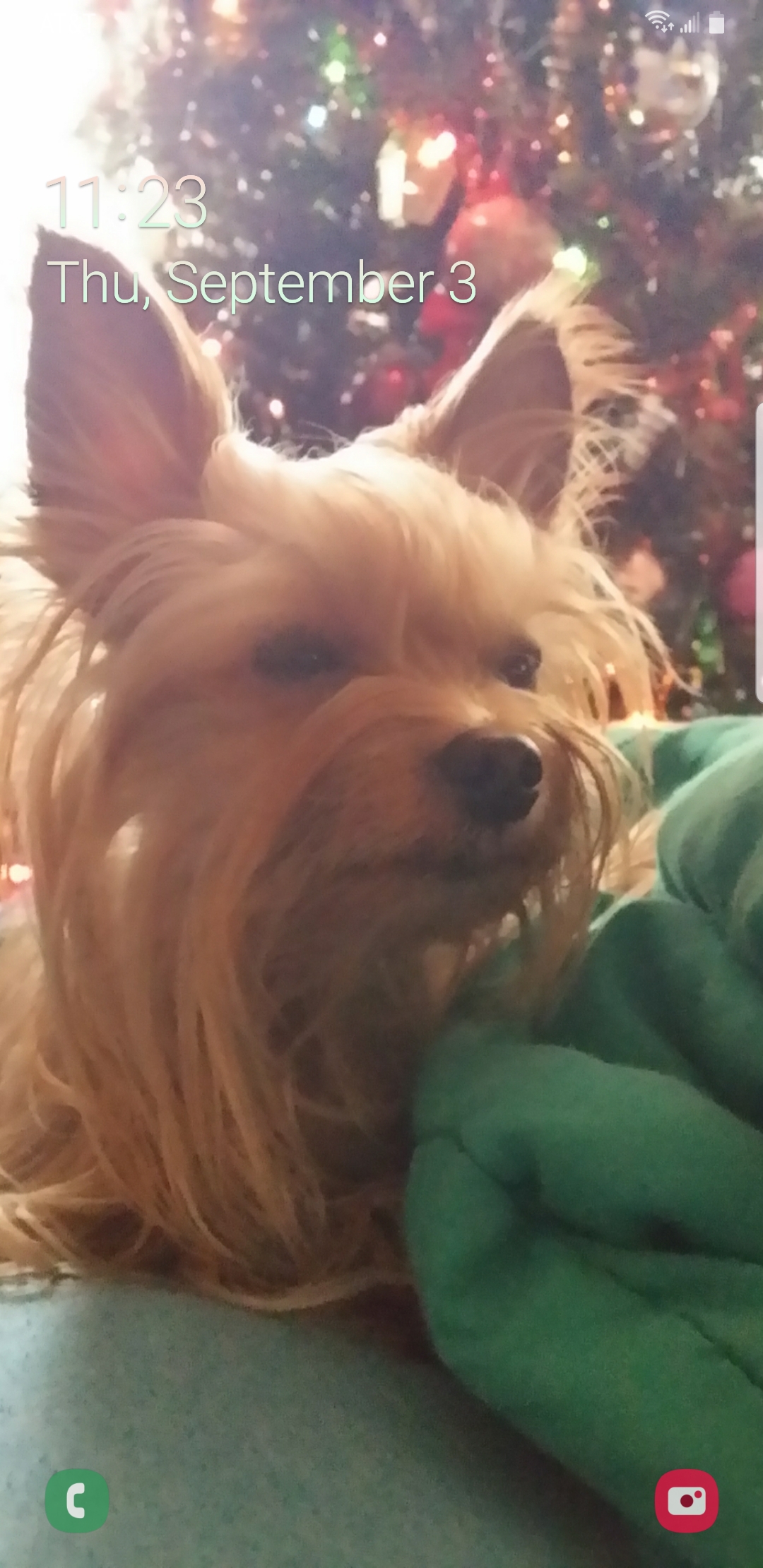 Screenshot_20200903-112343_One UI Home.jpg