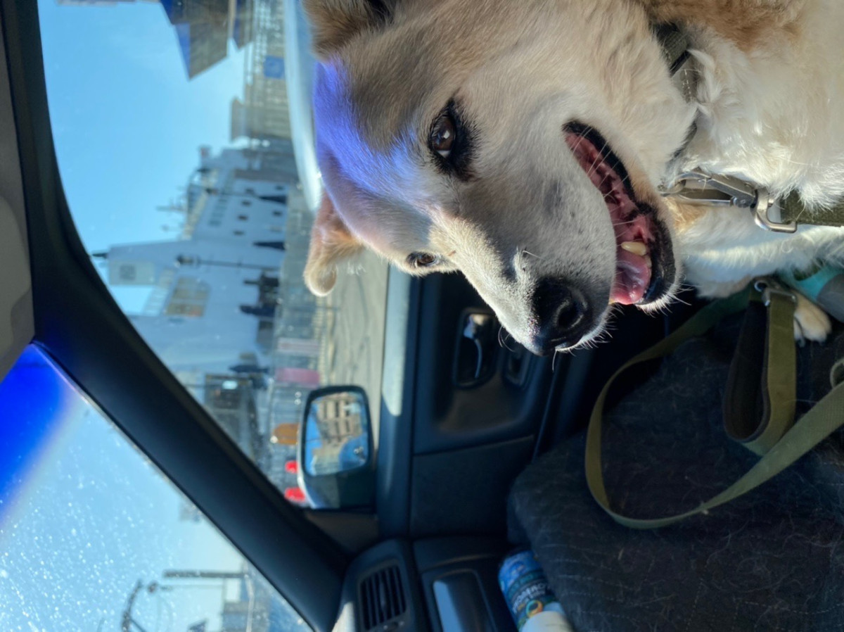 12F9F350-B95D-47F5-9398-52F50DB8FE95.jpeg