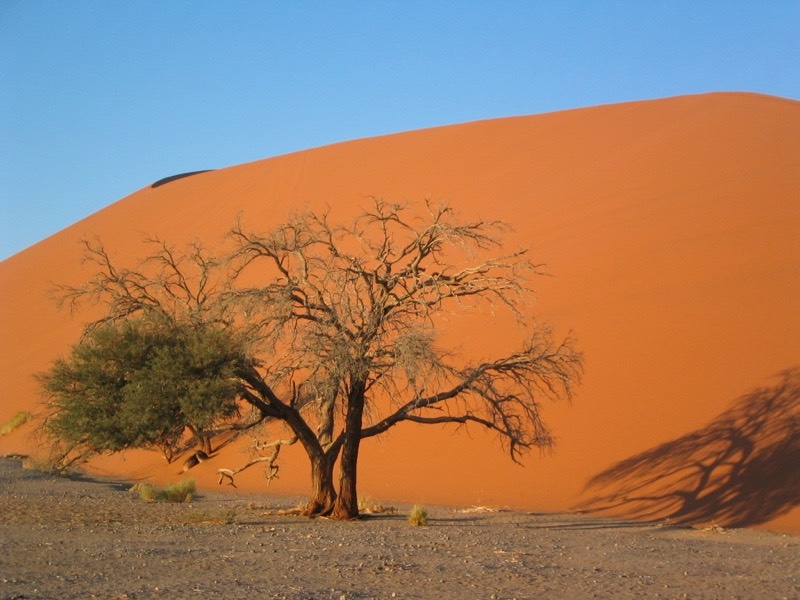 red dune Africa.jpg
