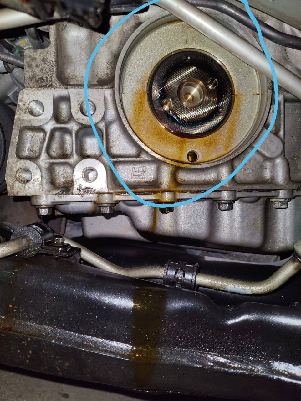 WhatsApp Image 2022-05-15 at 8.51.16 AM.jpeg