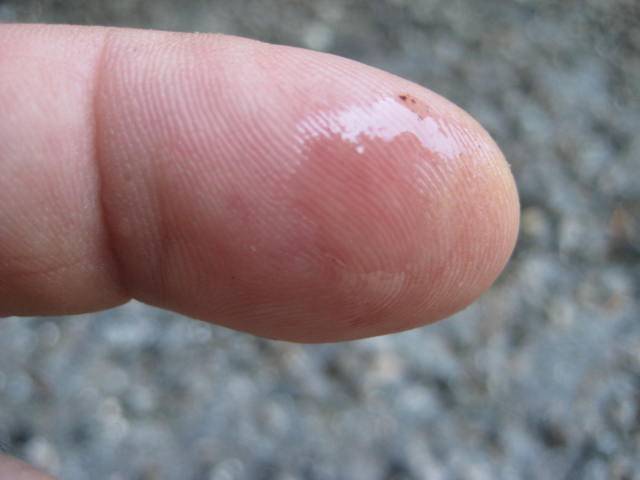 fuel hose seeping1.jpg