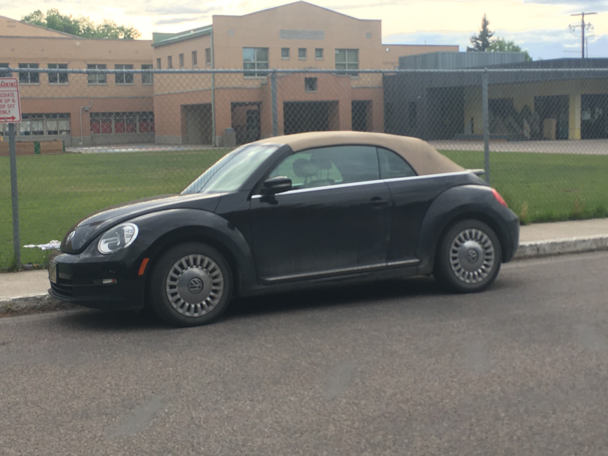 manbeetle ragtop.JPG