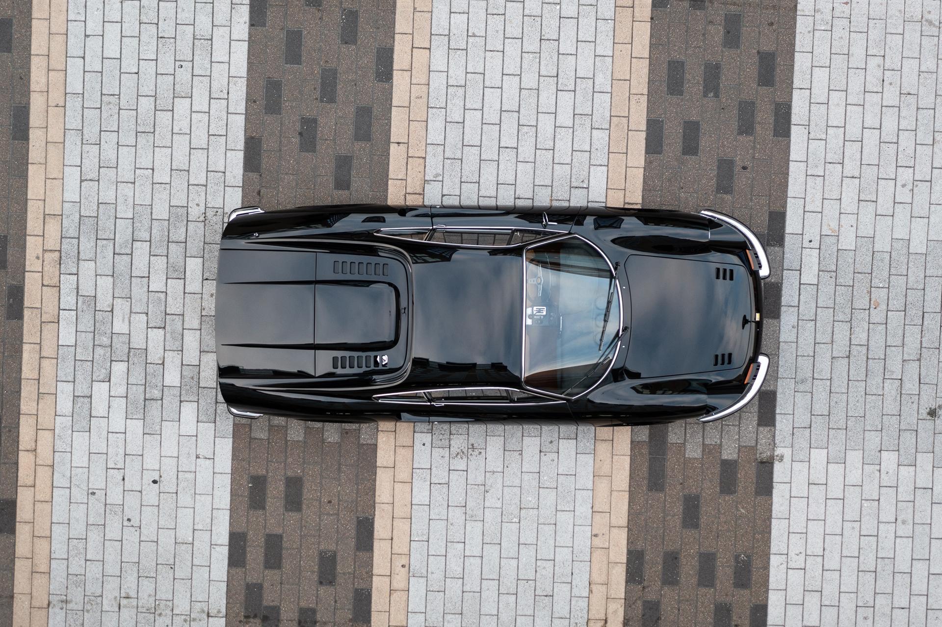 black Dino above.jpg