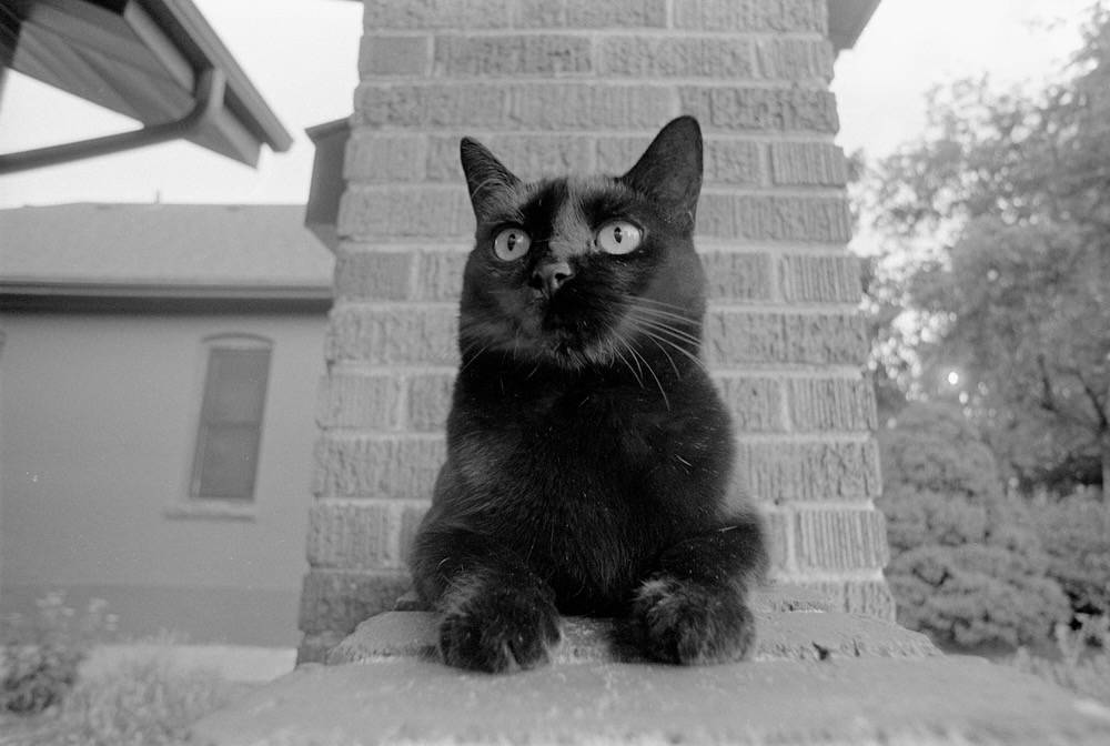 2022-08-01-0016 (1).jpeg