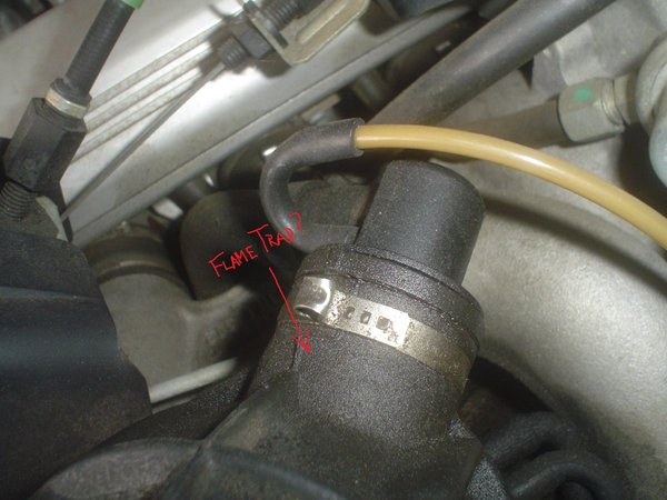 PCV or Flame Trap 1.JPG