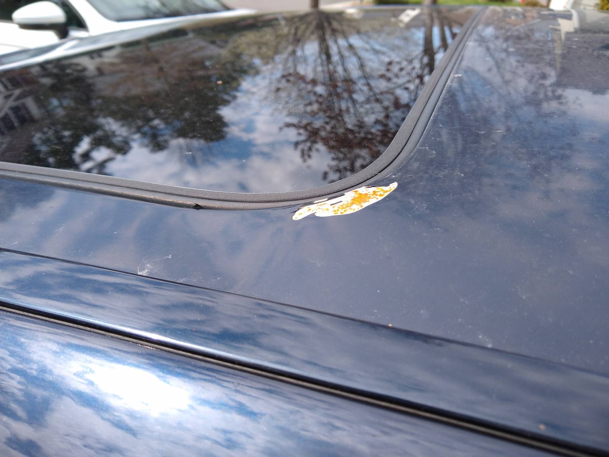 Paint & Body (3).jpg