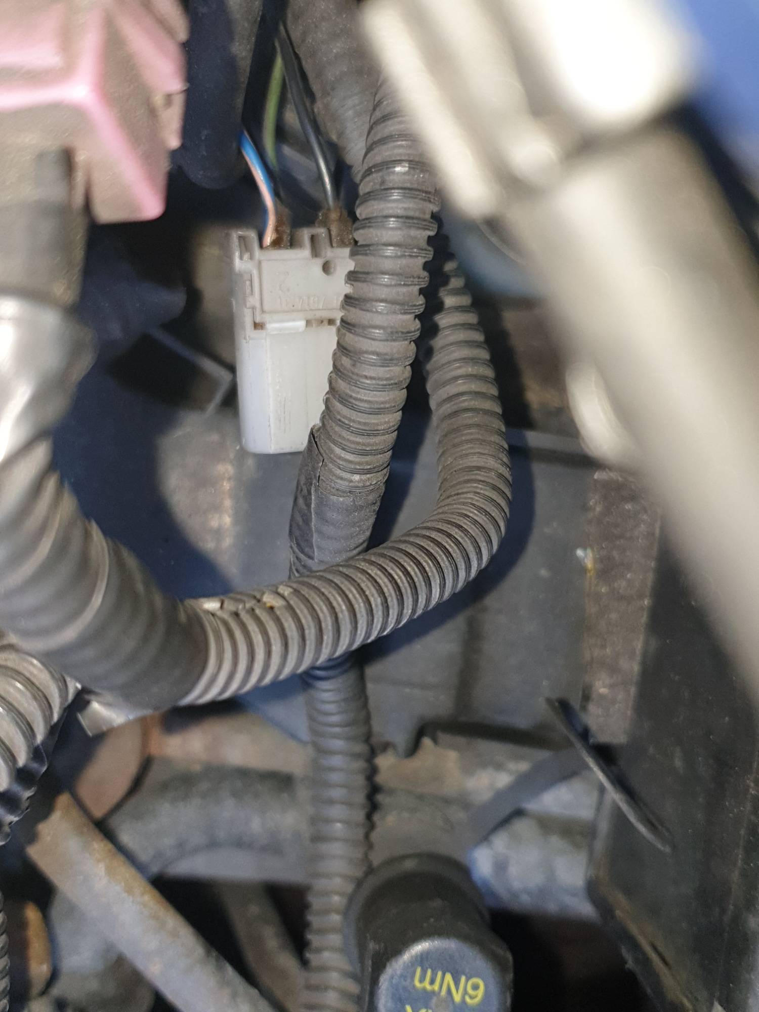 Sensor and connector