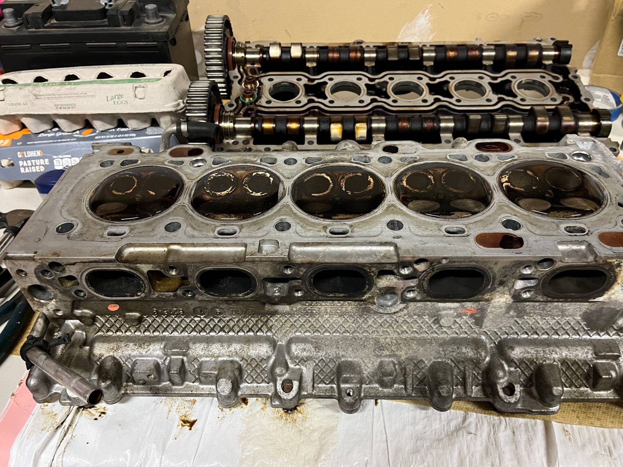 20221001_004932071_iOS (2).jpg