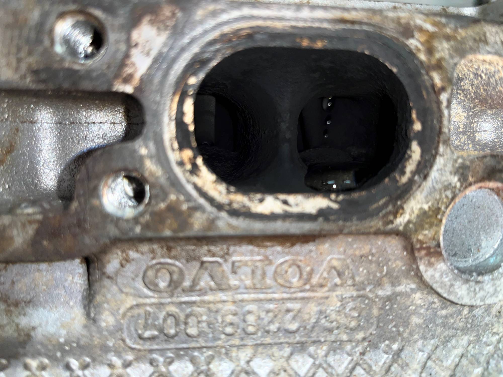 20221001_022212642_iOS (2).jpg