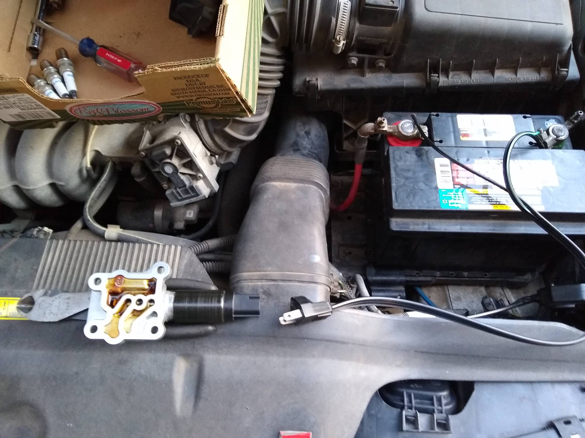 z Cleaning CVVT Solenoid.jpg