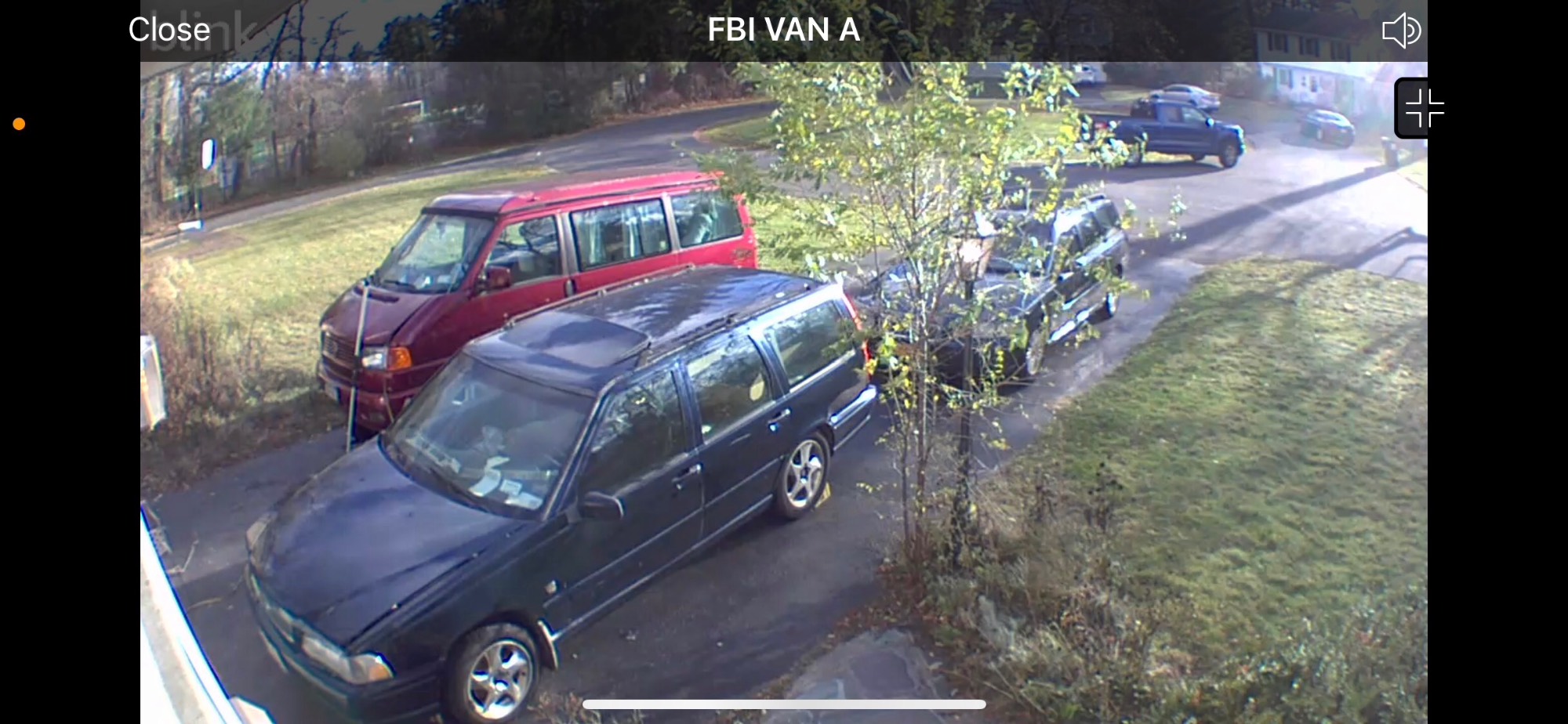 Buffalo 2 meters snow