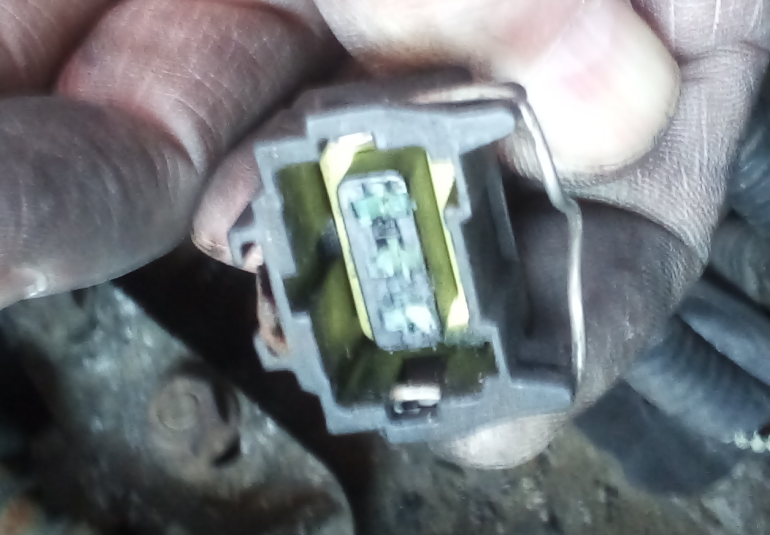 greenish goo covering the contacts