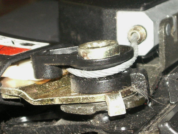 Securing cable and mounting bolt