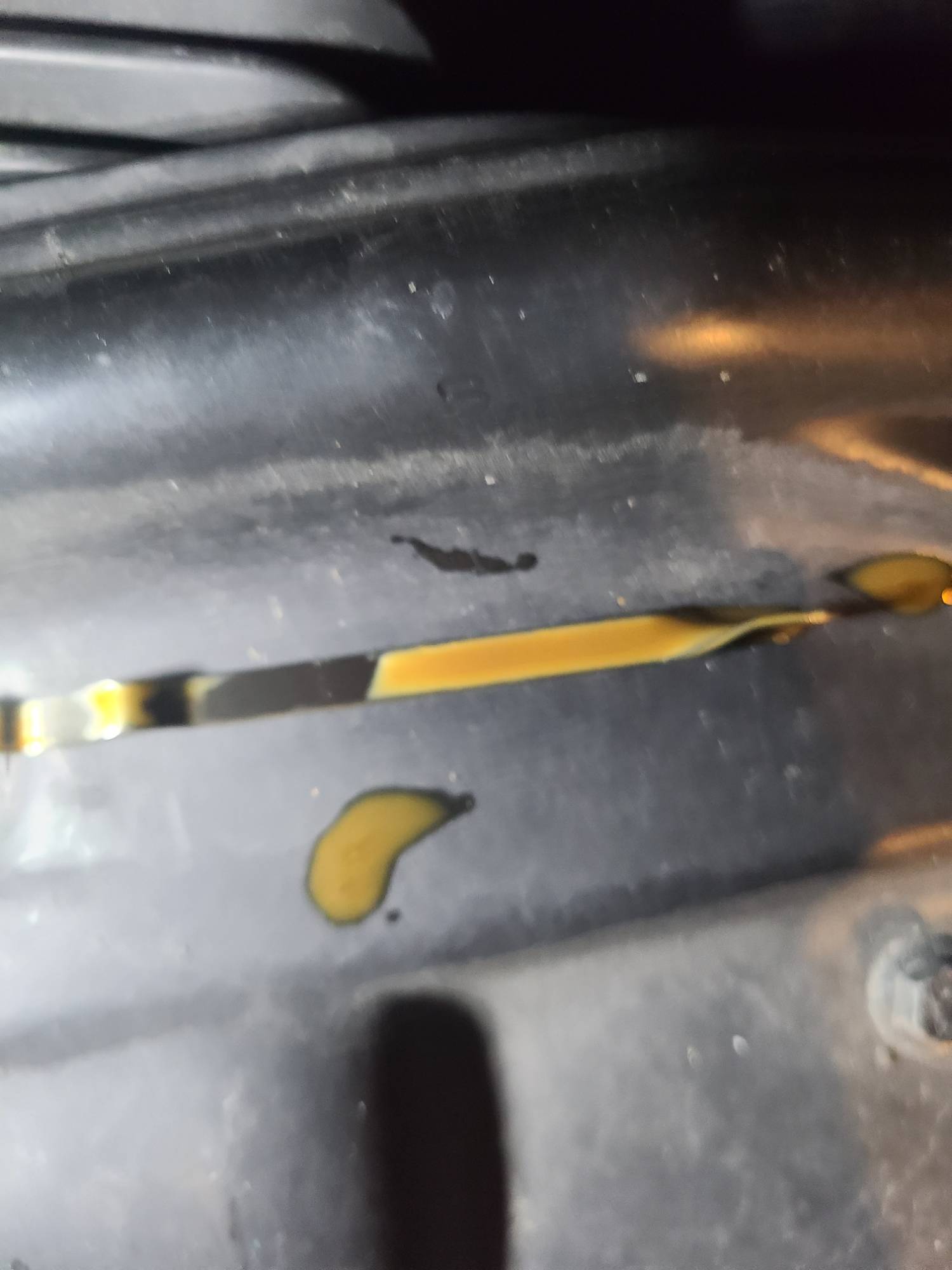 Shes completely toast