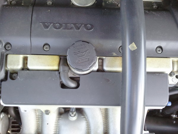 2011-02-14 10.56.08.jpg