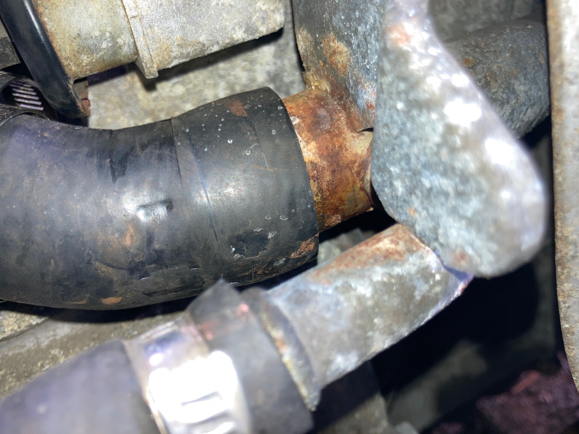 Lower radiator hose, engine side, before reattaching