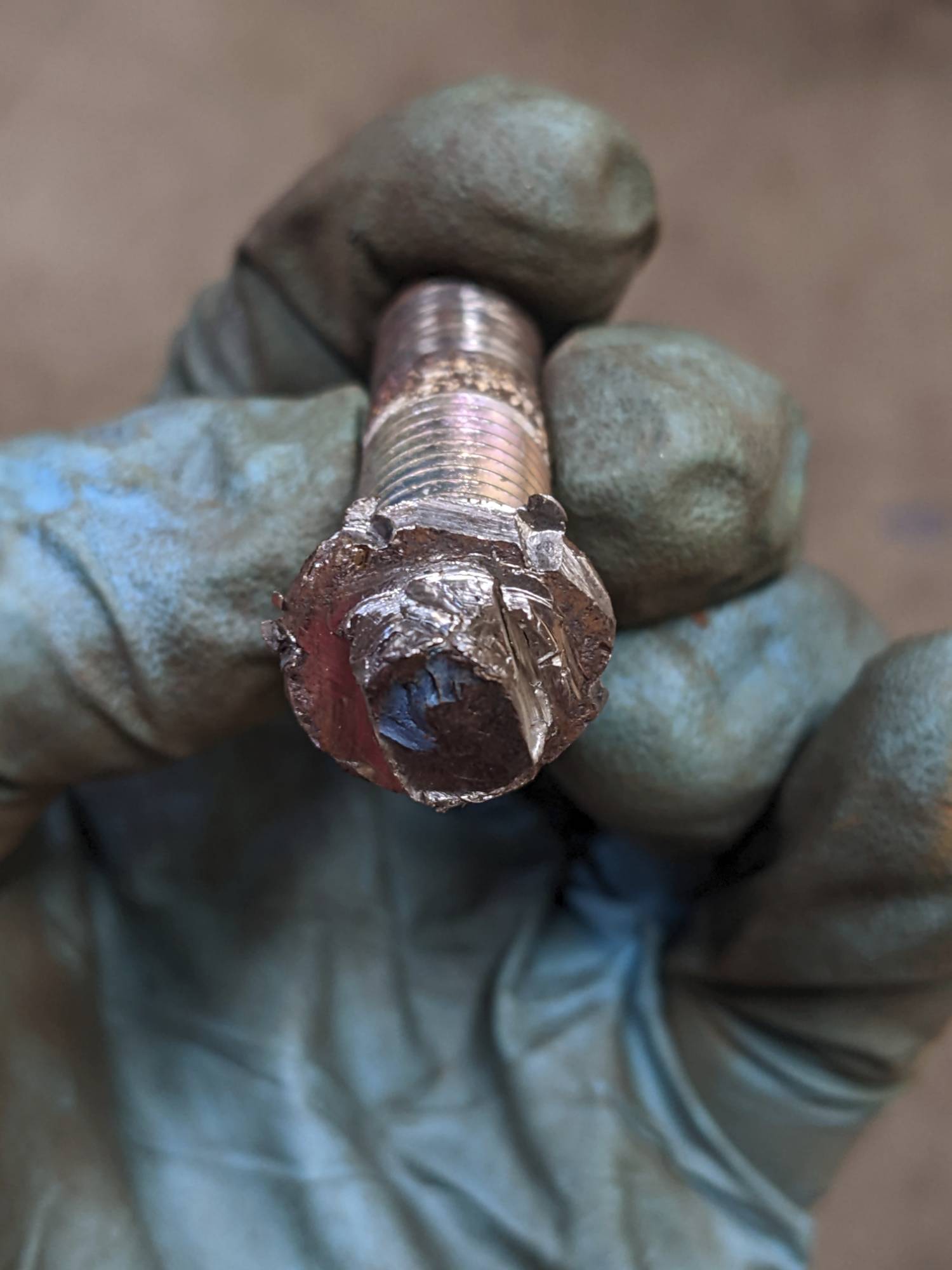 Savagely extracted bolt