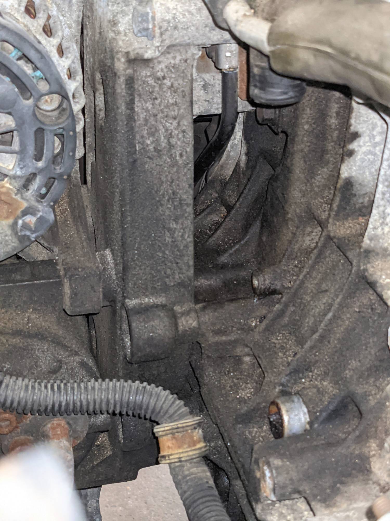 Oil behind alternator bracket