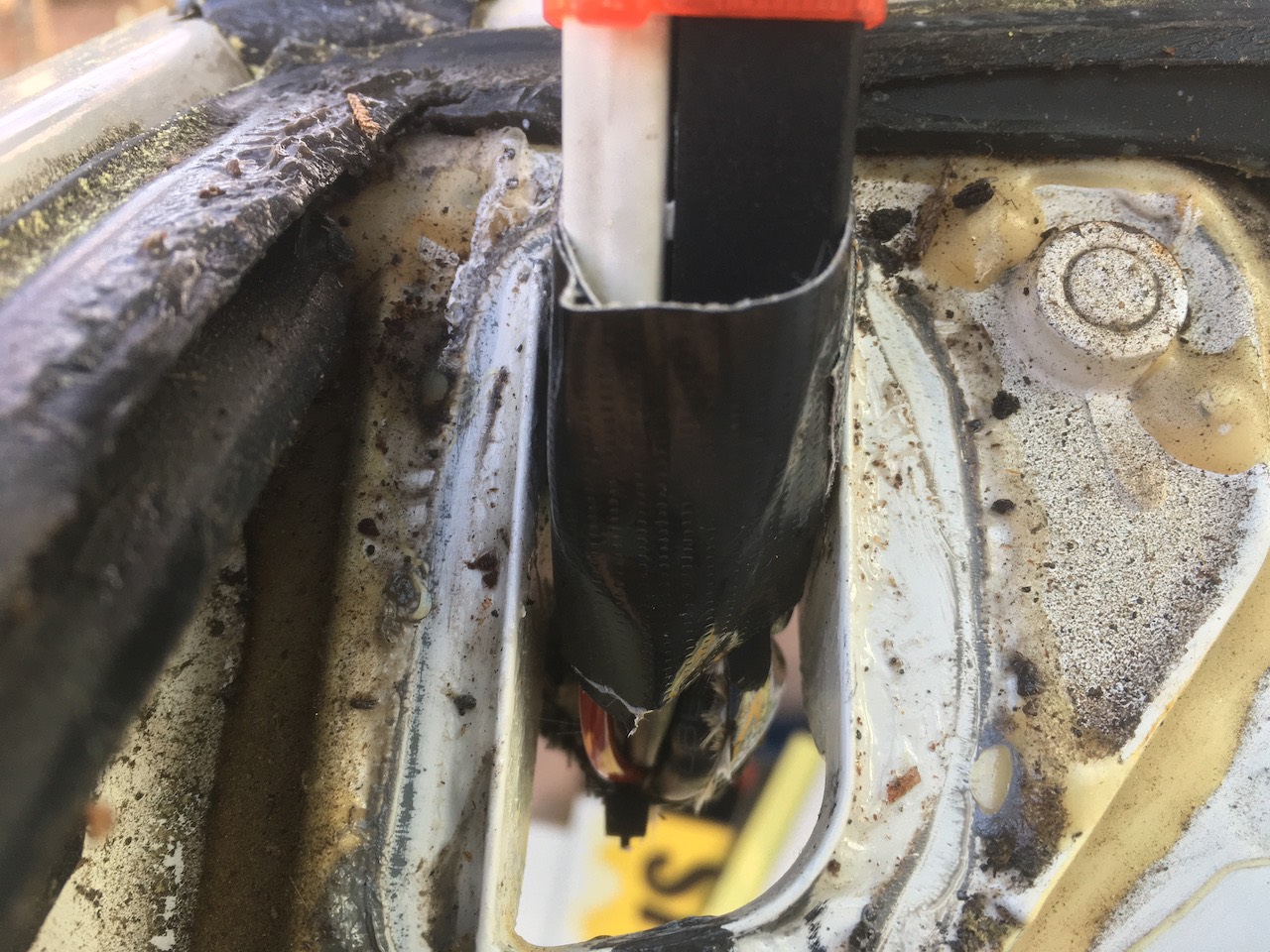 Imports - 2 of 3.jpeg