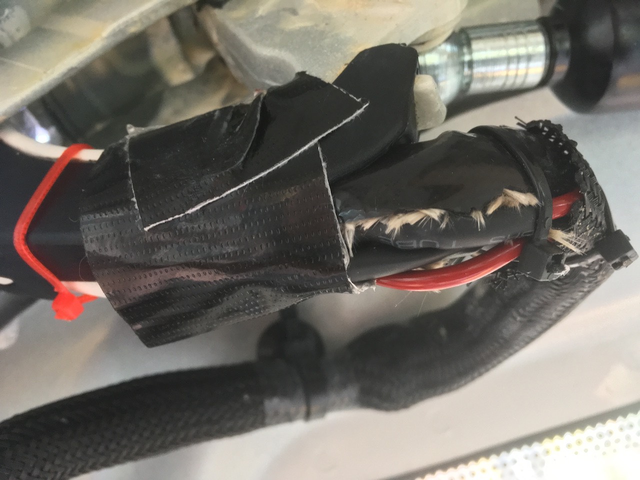 Imports - 3 of 3.jpeg