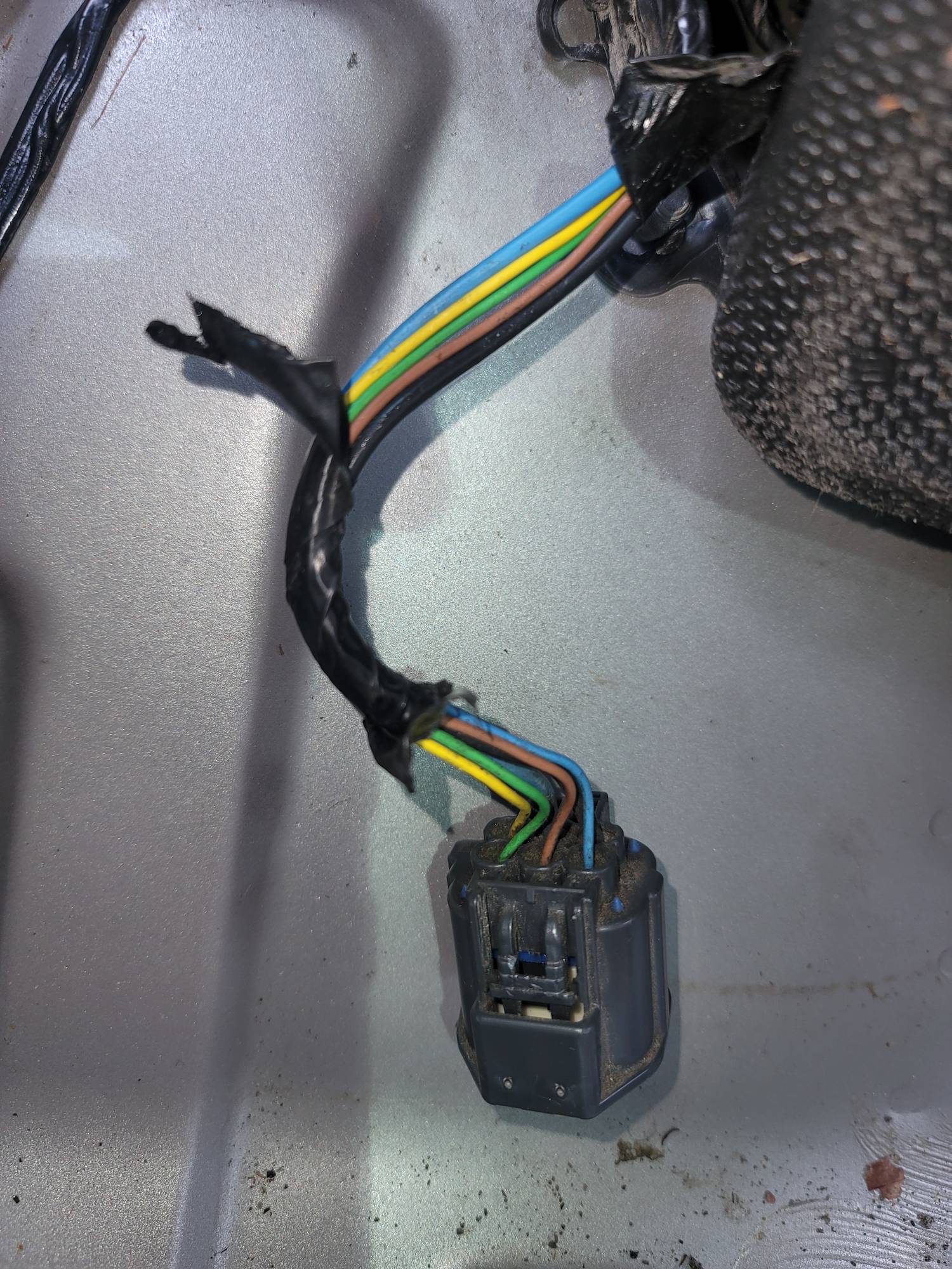 Two sites of rodent damage.