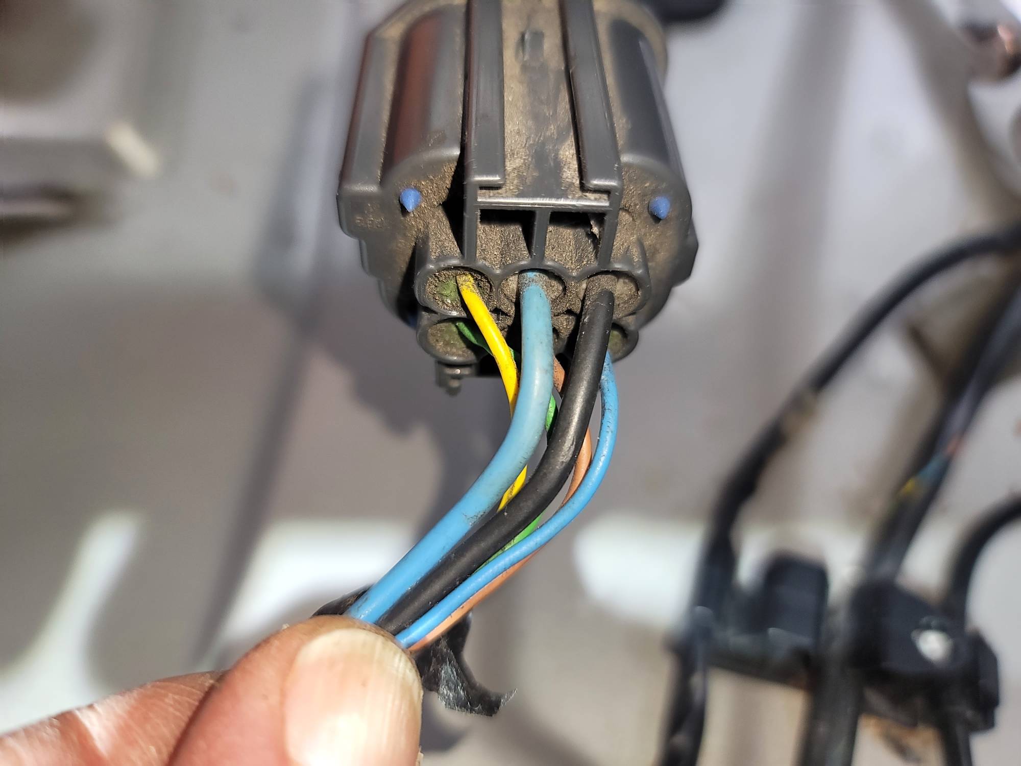 One side at the site of the deepest rodent damage.