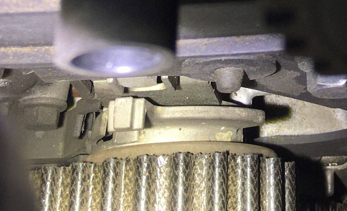 IMG_1556 Crop2 - GOOD.jpg