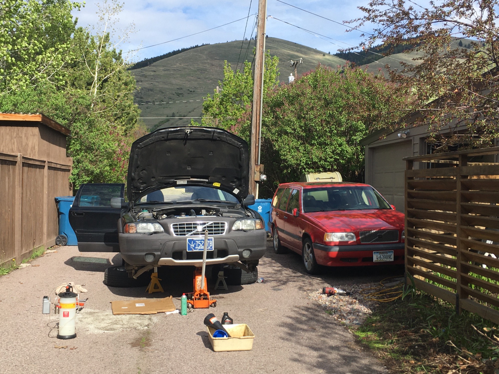 Betty and Red Sled.JPG