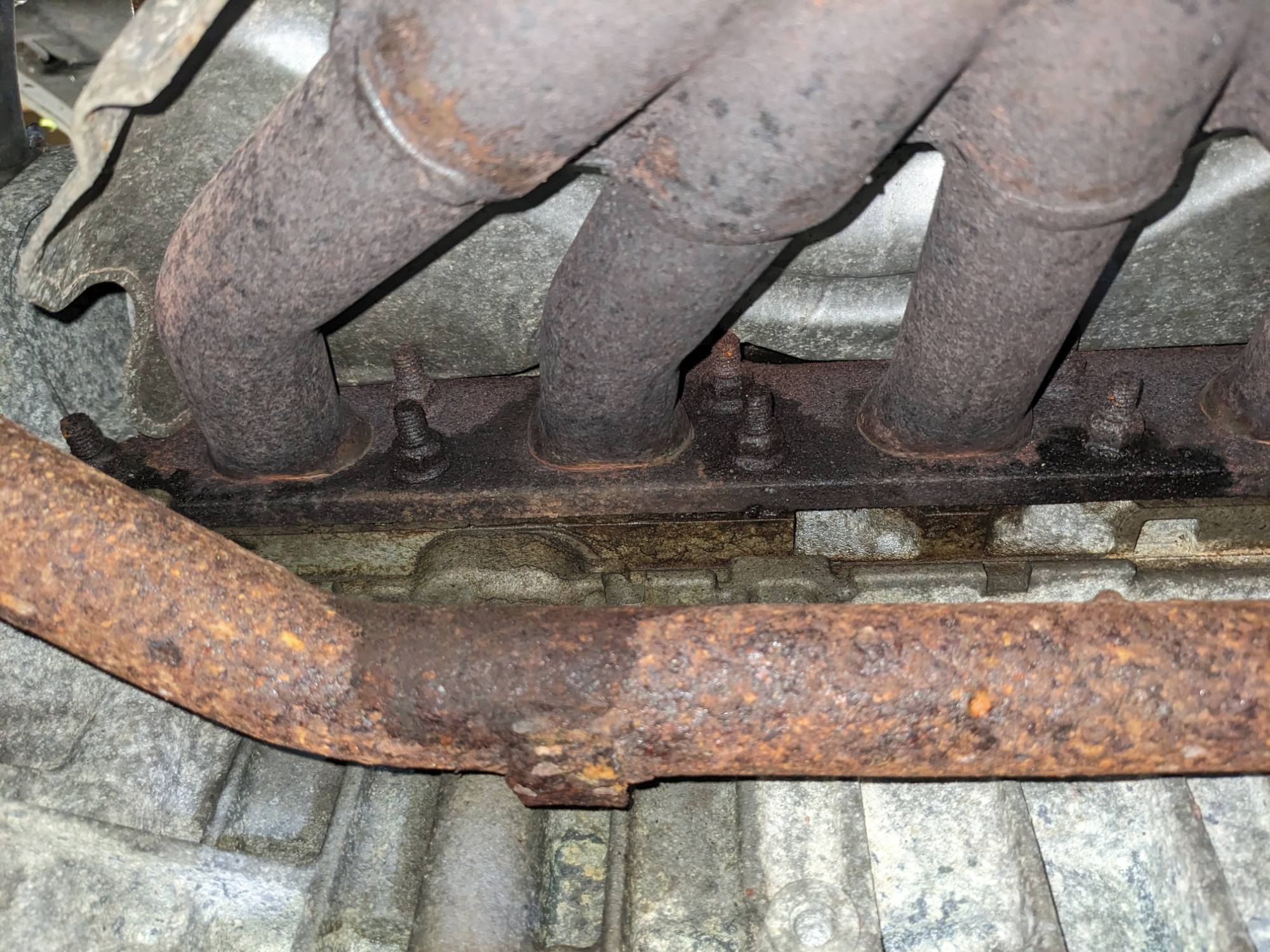 Oil around exhaust manifold