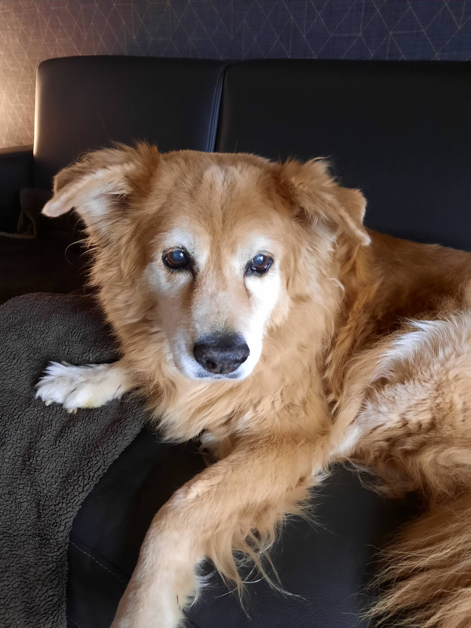 Kayla RIP 05-28-2023