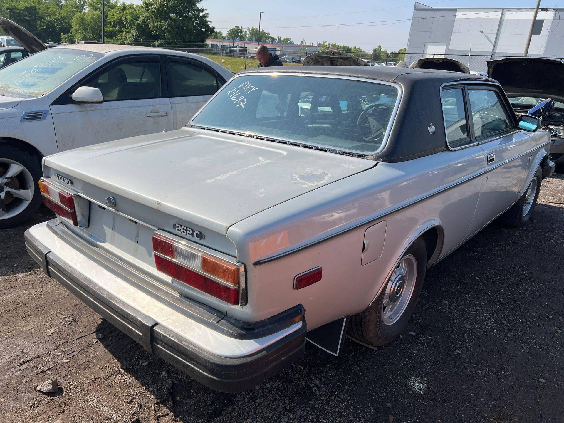 1978 262 Bertone.jpg