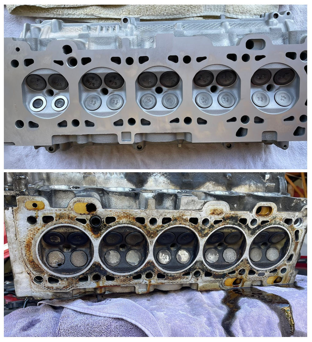 Before and after, the whole head.