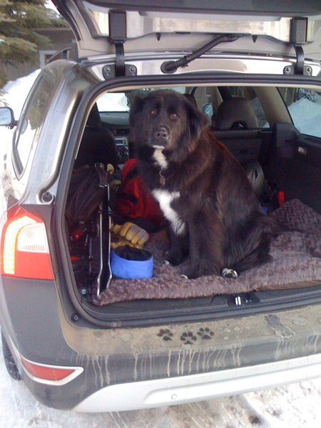 My old 2008 XC70, shown with it's owner.