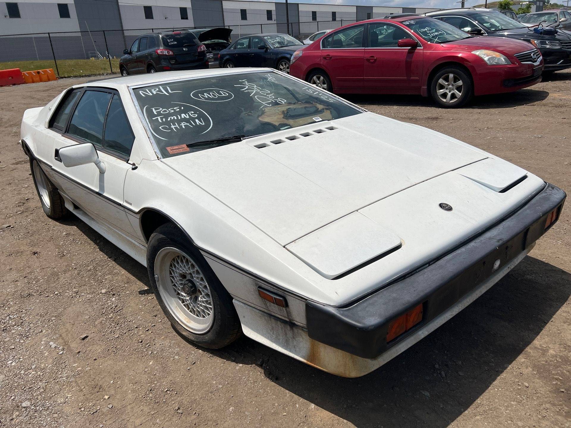 1987 Lotus Esprit Turbo.jpg