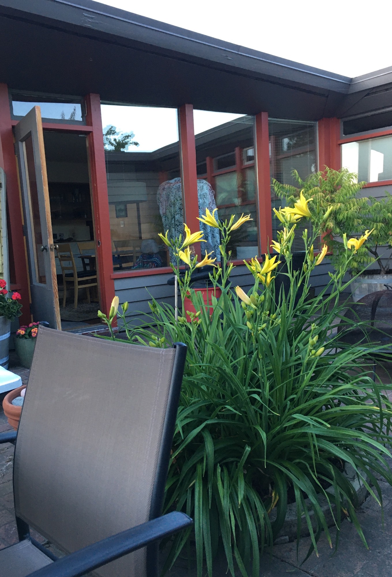 Gerald garden evening.JPG