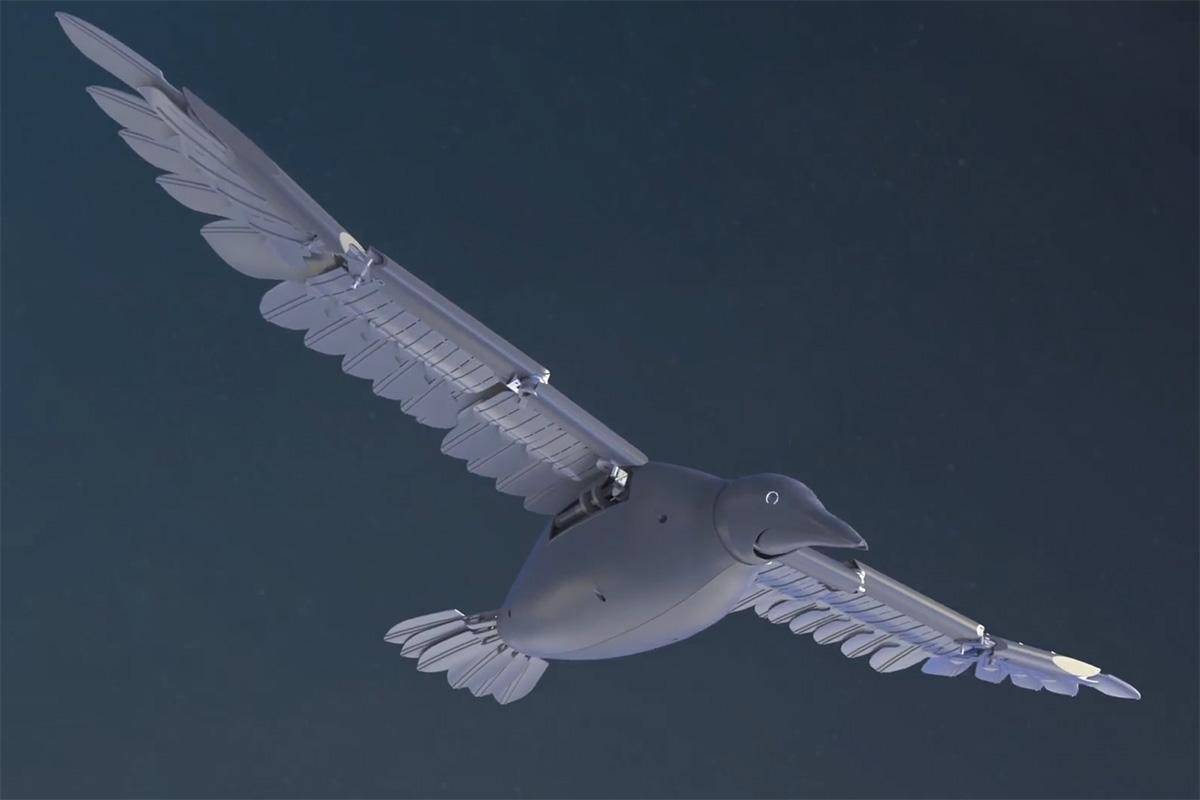 Flygildi silentflight.jpg