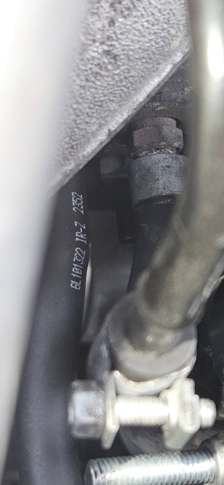 white line that i think goes to tree