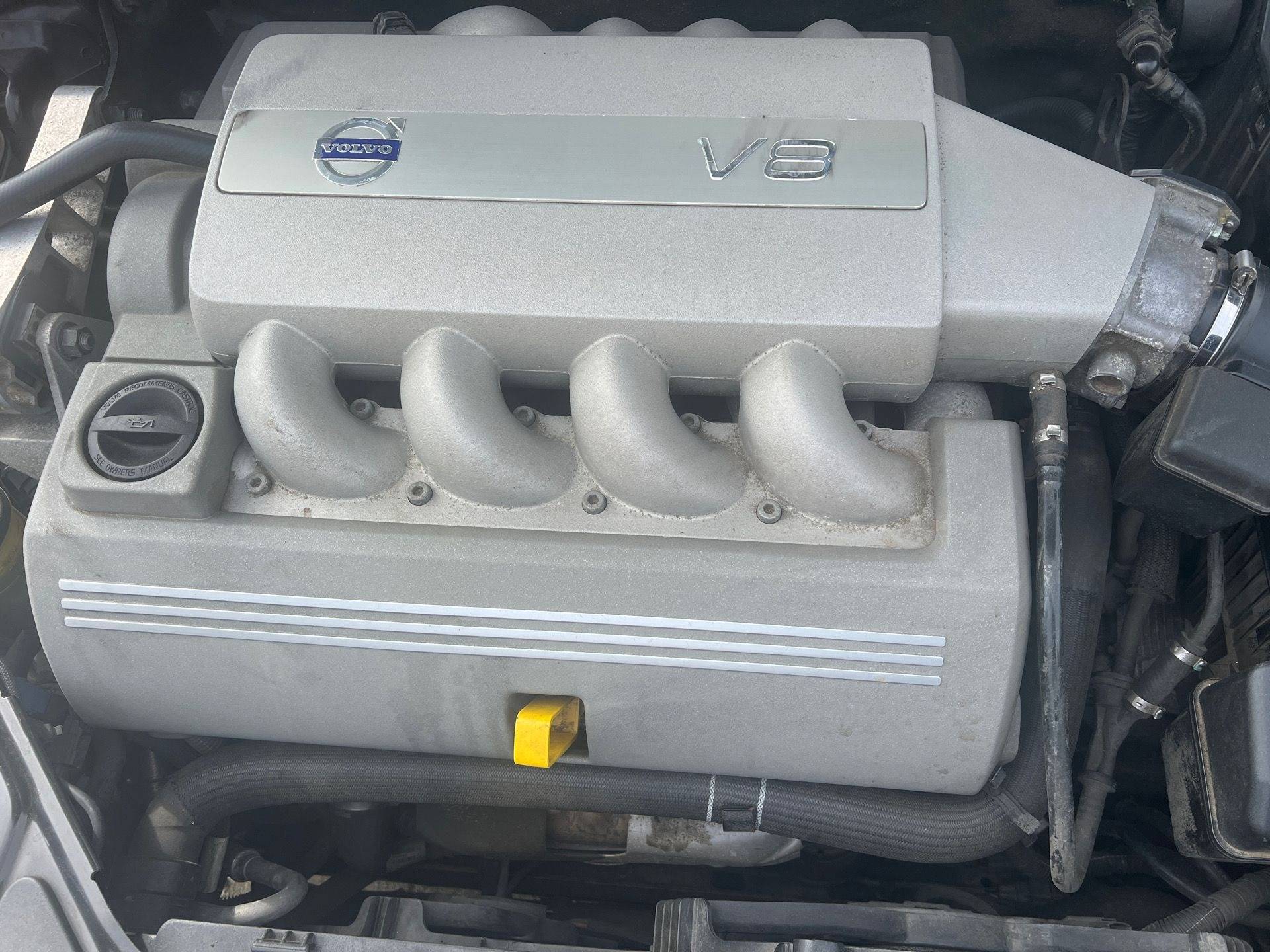 I coulda had a V8.jpg