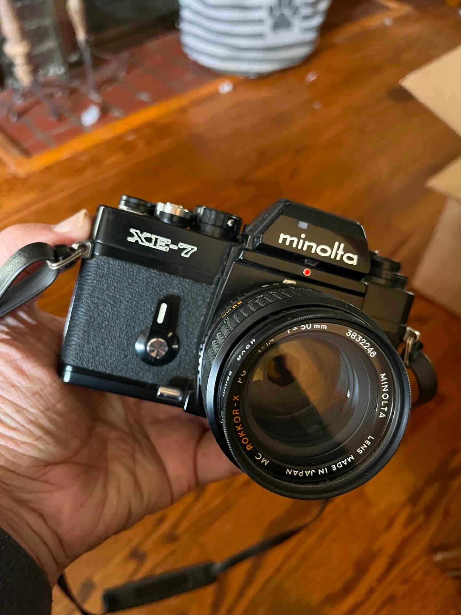 My new (old) Minolta XE-7, fifty years old, $18 works like a champ.