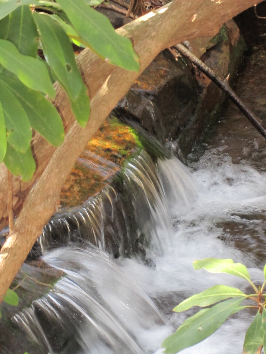 Hiking along part of the Appalachian Trail