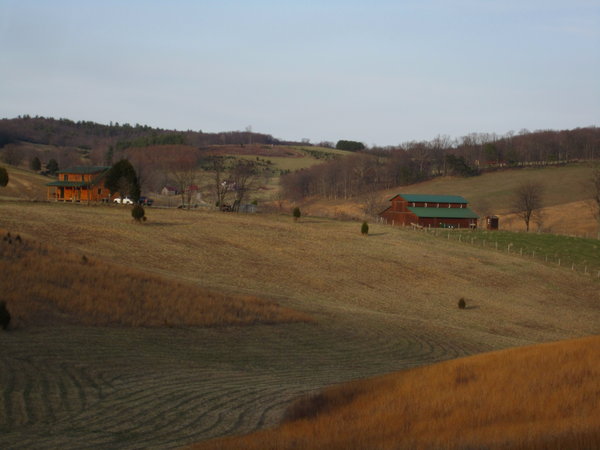 I really, really, really want this house.