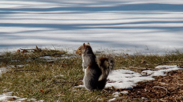 Good to know I wasn't the only one confused about the snow this week