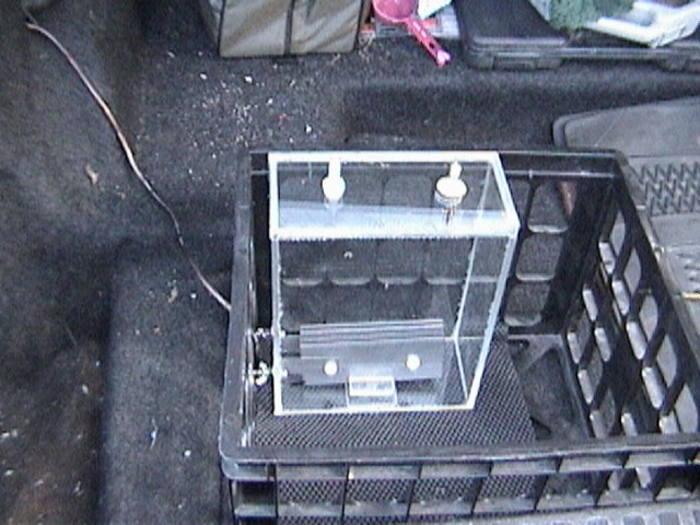 Empty cell in position in 86 740 trunk
