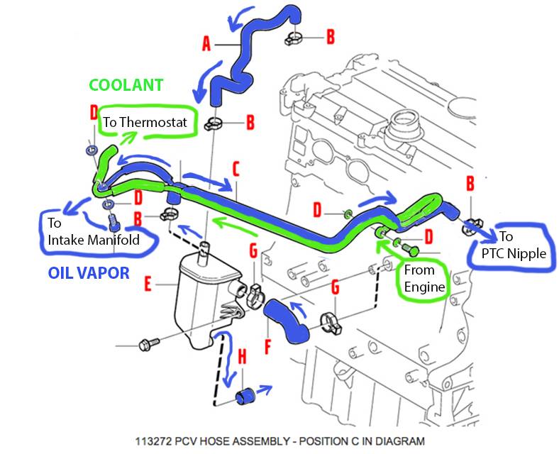 PCV Diagram Color Coded.jpg