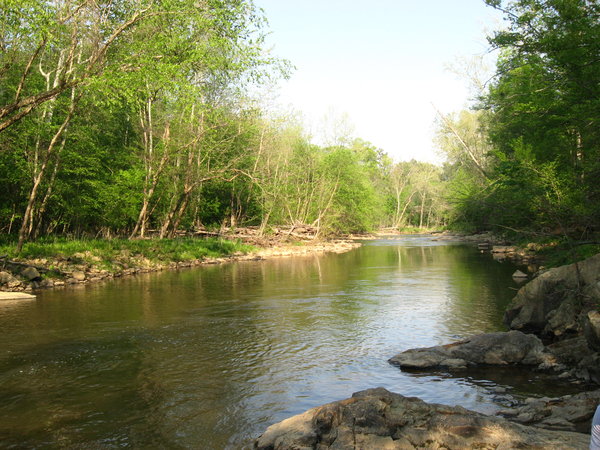 This is the Eno River right behind my folks' house in Durham, NC