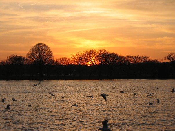 Sunset over the Potomac River in Washington DC