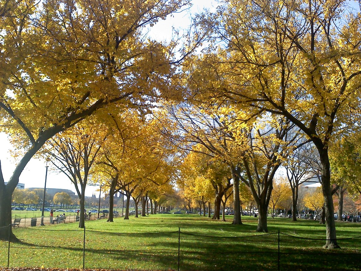 By the Capitol building in the fall in Washington, DC